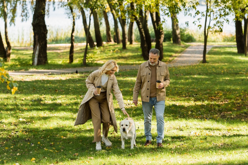 A couple and a dog walking in a park.